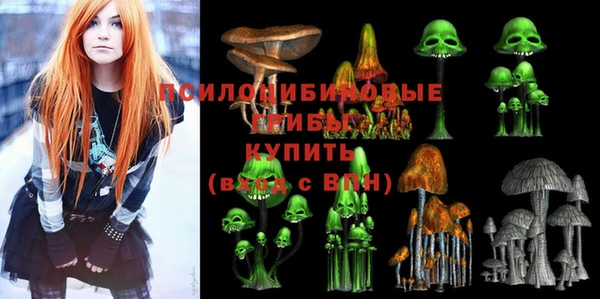 винт Медвежьегорск