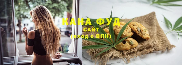 дживик Мегион