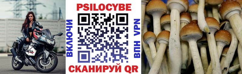 Галлюциногенные грибы Cubensis  ОМГ ОМГ зеркало  Мичуринск 