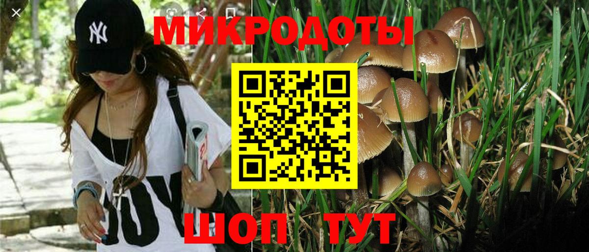 Мичуринск  Псилоцибиновые грибы ЛСД  Вход с VPN 