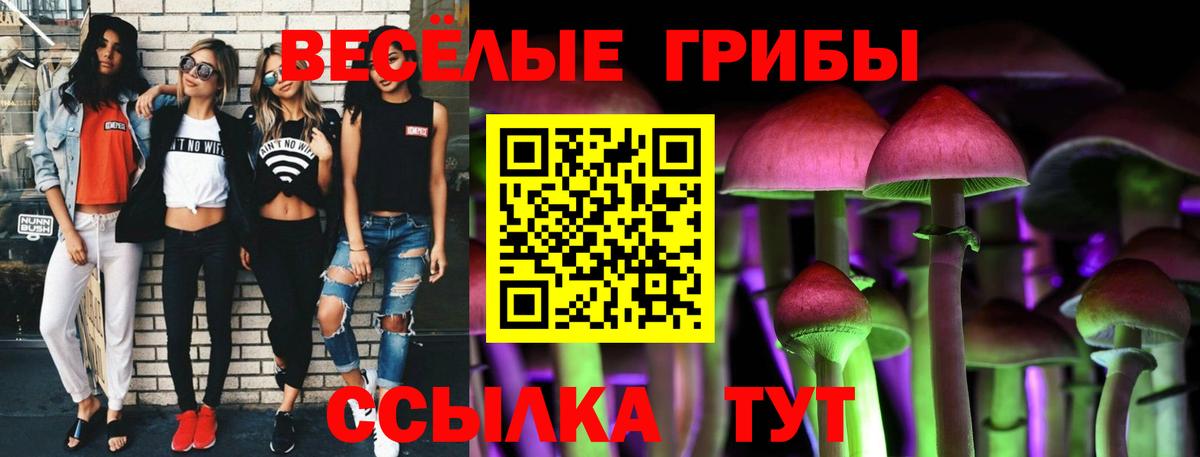 Псилоцибиновые грибы ЛСД Мичуринск