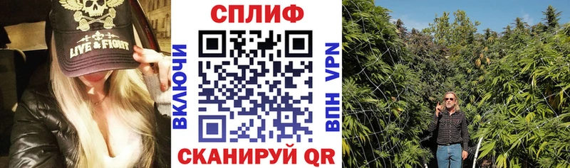 Бошки марихуана гибрид Мичуринск